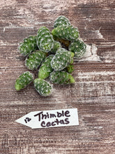Load image into Gallery viewer, Cactus Thimble