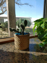Load image into Gallery viewer, Cactus White Bunny Ears
